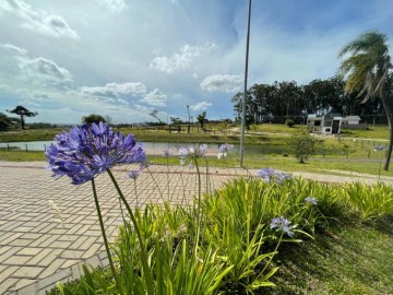 Terreno - Venda - Centro - Nova Santa Rita - RS