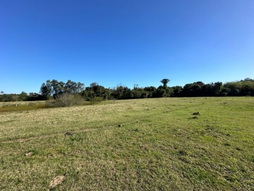 Chcara - Venda - Picado - Nova Santa Rita - RS